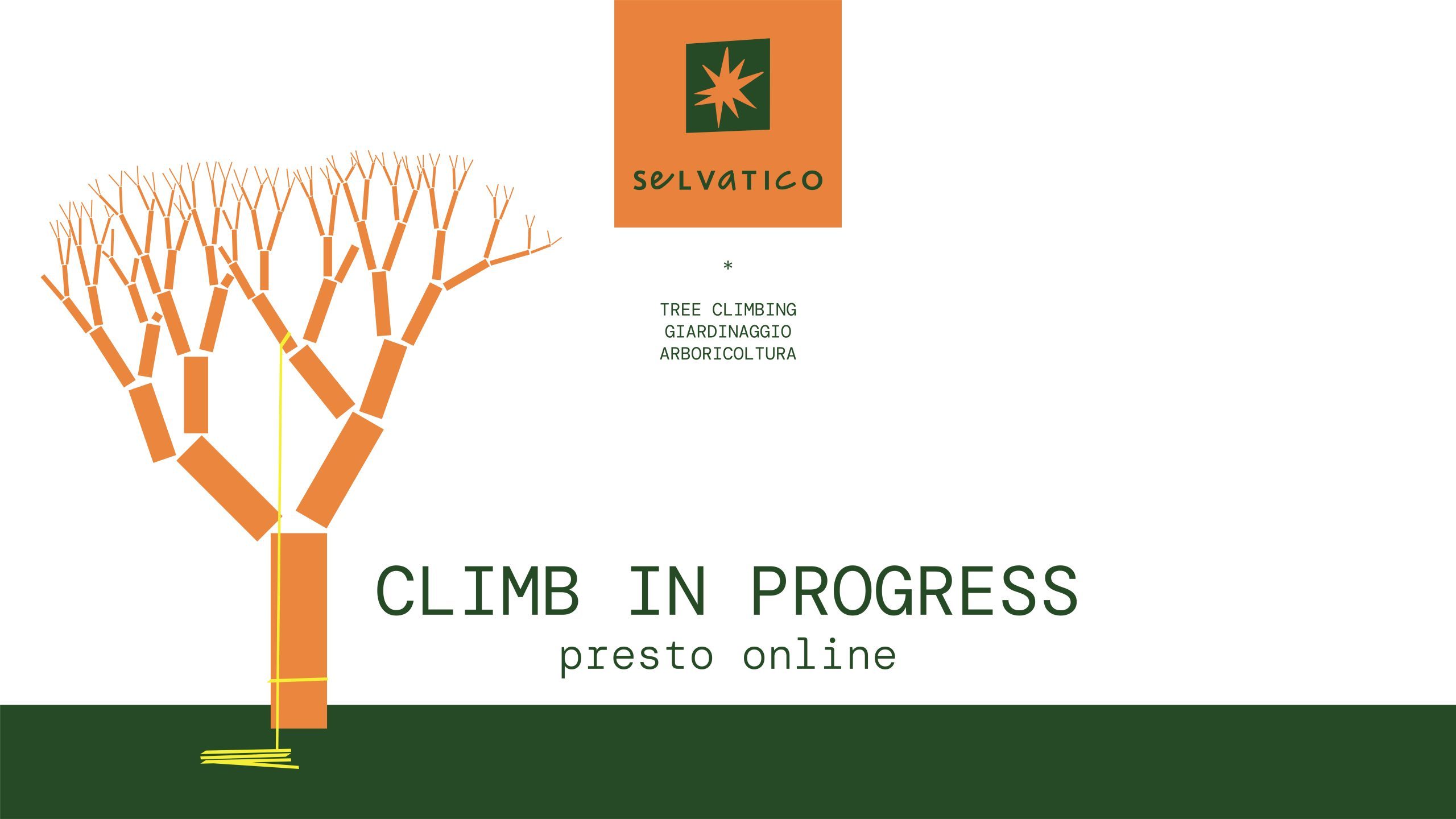 SELVATICO_Work_In_Progress